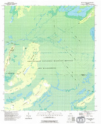 Billys Island 1994 topographic map thumbnail
