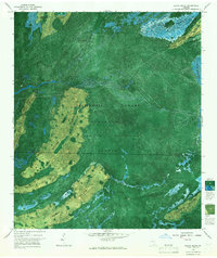 Billys Island 1966 topographic map thumbnail