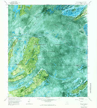 Billys Island 1966 topographic map thumbnail