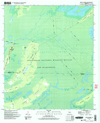 Billys Island 1994 topographic map thumbnail
