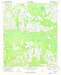 Birdsville 1974 topographic map thumbnail