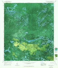 Blackjack Island 1965 topographic map thumbnail