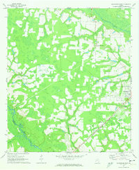 Blackshear East 1971 topographic map thumbnail