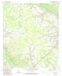 Blackshear West 1971 topographic map thumbnail