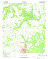 Blakely North 1973 topographic map thumbnail