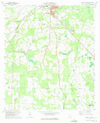 Blakely South 1973 topographic map thumbnail