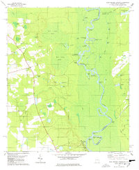 Blue Springs Landing 1978 topographic map thumbnail