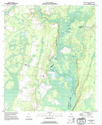 Boons Lake 1993 topographic map thumbnail