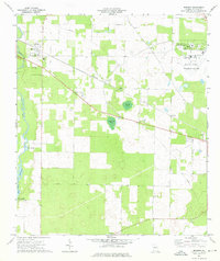 Brinson 1974 topographic map thumbnail