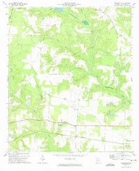Brooksville 1972 topographic map thumbnail