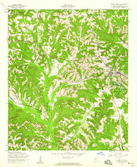 Buena Vista 1955 topographic map thumbnail