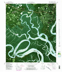 Burroughs 1979 topographic map thumbnail