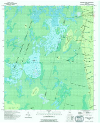 Chesser Island 1994 topographic map thumbnail