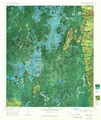Chesser Island 1965 topographic map thumbnail