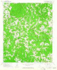 Chestnut Mountain 1964 topographic map thumbnail