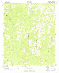 Church Hill 1973 topographic map thumbnail