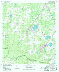 Clyattville 1994 topographic map thumbnail