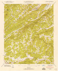 Culberson 1941 topographic map thumbnail