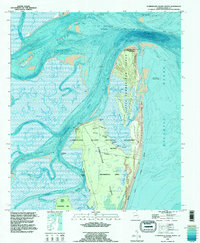 Cumberland Island North 1993 topographic map thumbnail