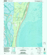 Cumberland Island South 1994 topographic map thumbnail