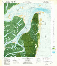 Cumberland Island North 1979 topographic map thumbnail