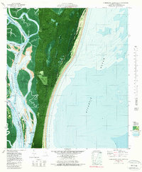 Cumberland Island South 1979 topographic map thumbnail
