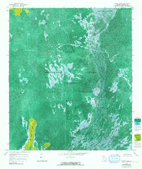 Dinner Pond 1965 topographic map thumbnail