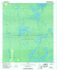 Dinner Pond 1994 topographic map thumbnail
