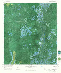 Dinner Pond 1965 topographic map thumbnail