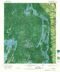 Double Lakes 1965 topographic map thumbnail