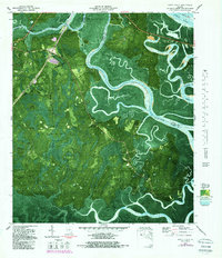 Dover Bluff 1979 topographic map preview