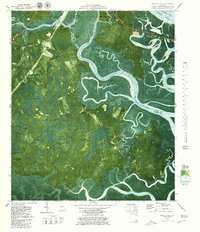 Dover Bluff 1979 topographic map preview