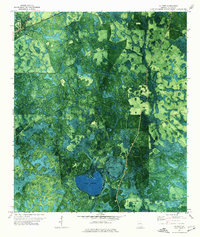 Du Pont 1971 topographic map thumbnail