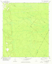 East Of Ludowici 1978 topographic map thumbnail