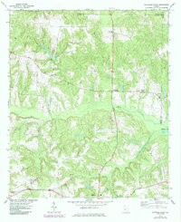 Ellaville North 1971 topographic map thumbnail