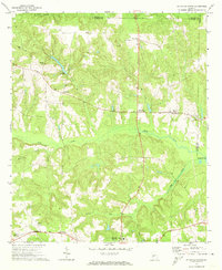Ellaville North 1971 topographic map thumbnail