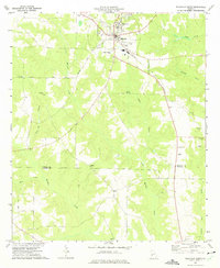 Ellaville South 1972 topographic map preview