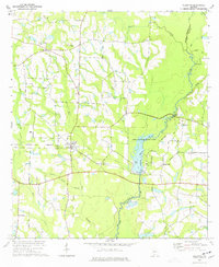 Ellenton 1974 topographic map thumbnail