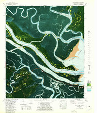 Fort Pulaski 1978 topographic map thumbnail