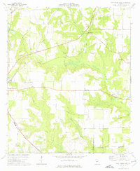 Fort Valley East 1974 topographic map thumbnail