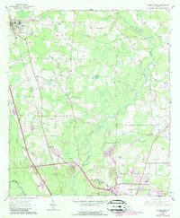 Hahira East 1961 topographic map thumbnail