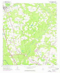 Hahira East 1961 topographic map thumbnail