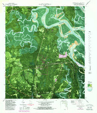 Harrietts Bluff 1980 topographic map thumbnail