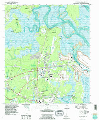 Harrietts Bluff 1994 topographic map thumbnail