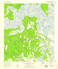 Harrietts Bluff 1958 topographic map thumbnail