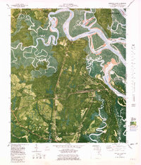 Harrietts Bluff 1980 topographic map thumbnail