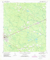 Homerville East 1968 topographic map thumbnail