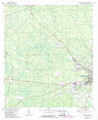Homerville West 1978 topographic map thumbnail