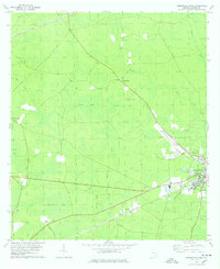 Homerville West 1978 topographic map thumbnail