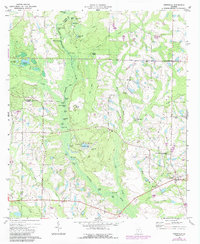 Irwinville 1973 topographic map thumbnail
